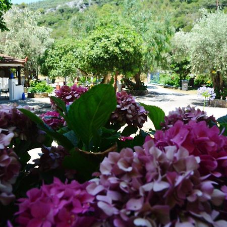 Spiros Rooms Panormos  المظهر الخارجي الصورة